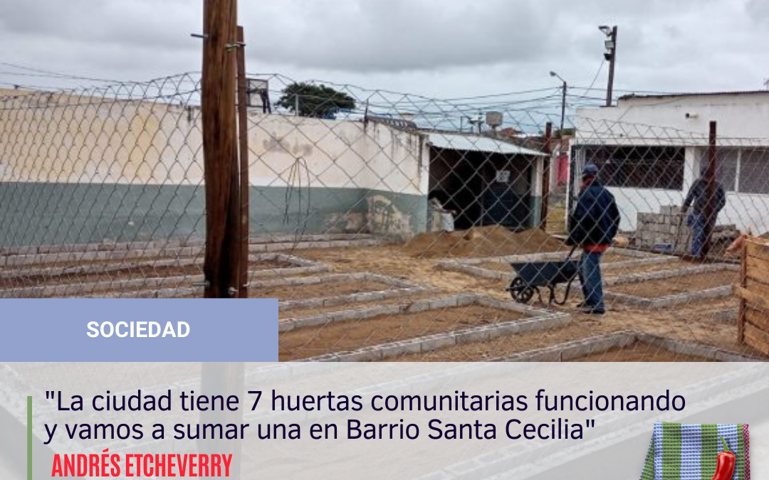 La ciudad sigue sumando huertas comunitarias