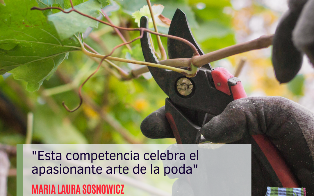 Llega la 5° edición del Concurso de Poda Profesional en Vid