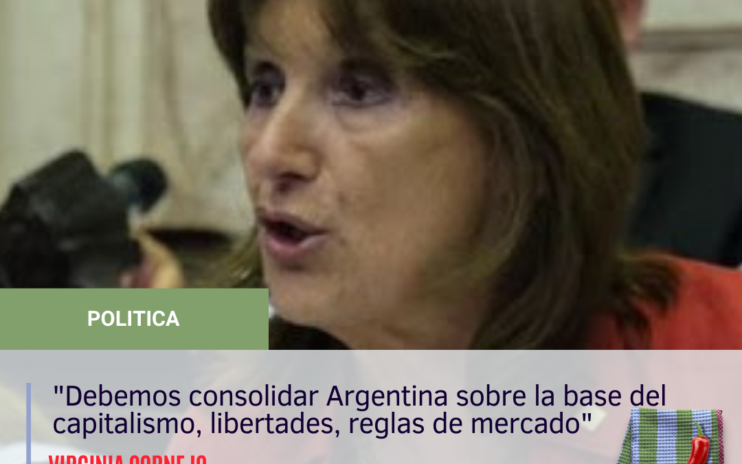 Virginia Cornejo representó a Salta en la mesa nacional de Juntos por el Cambio