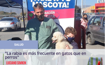 “La rabia es más frecuente en gatos que en perros porque el felino juega con los murciélagos”