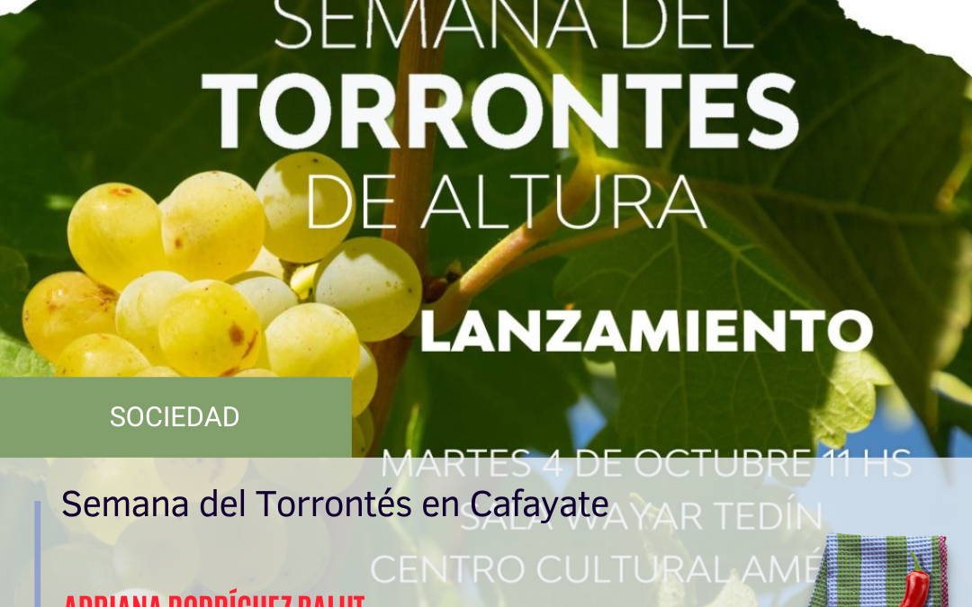 Semana del Torrontés de Altura en Salta￼