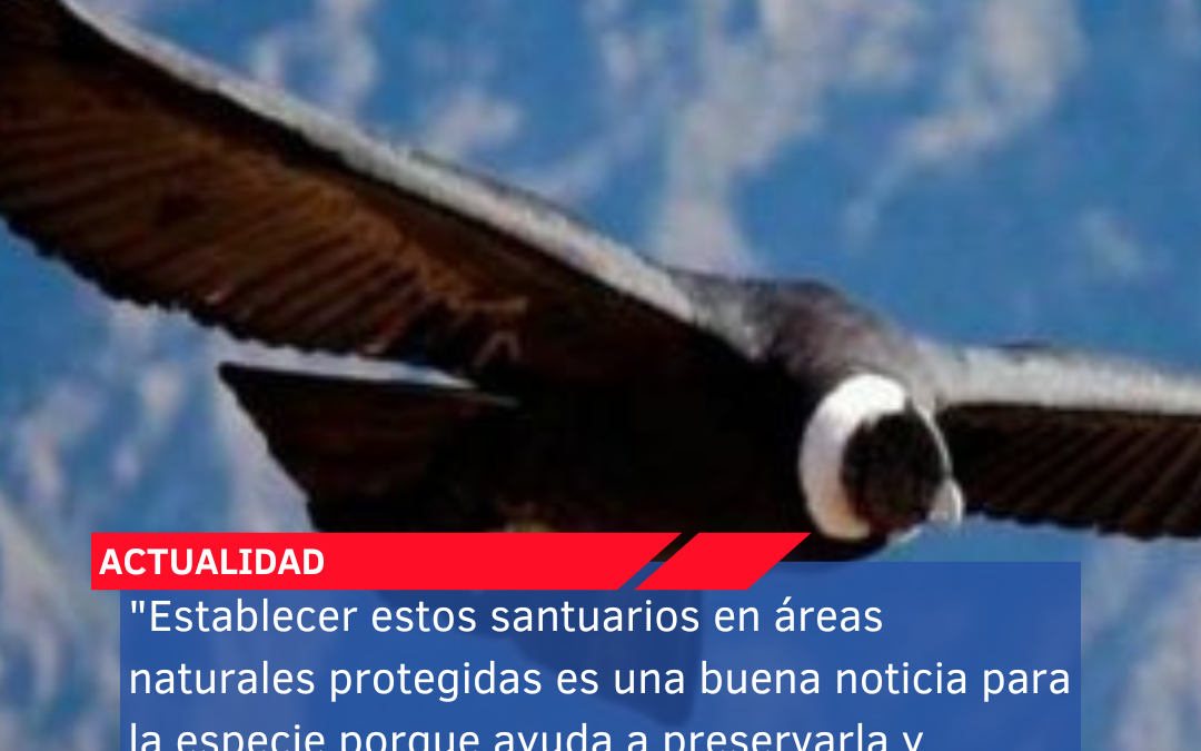 “Establecer estos santuarios en áreas naturales protegidas es una buena noticia para la especie porque ayuda a preservarla y conservarla”