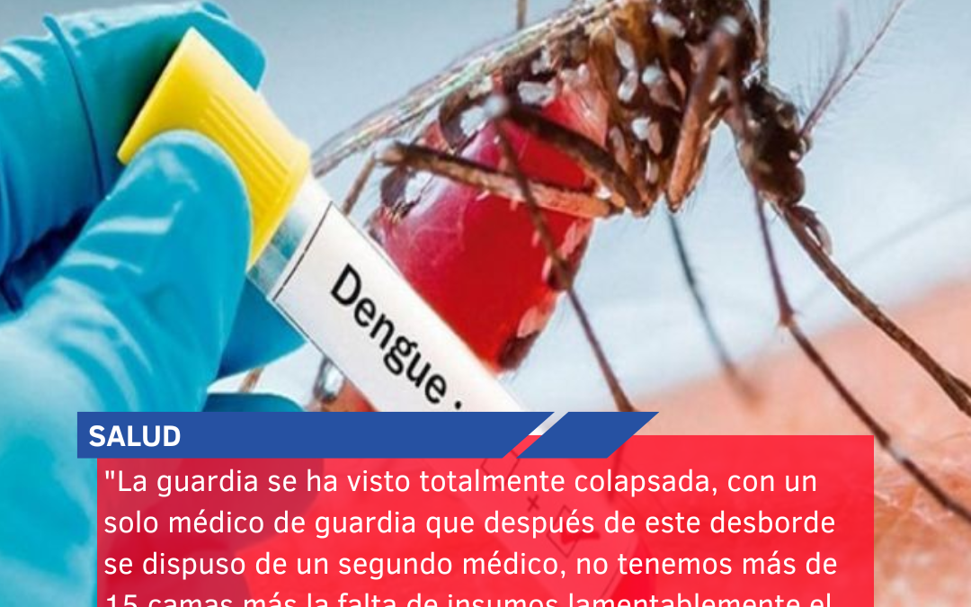 “La guardia se ha visto totalmente colapsada, con un solo médico de guardia que después de este desborde se dispuso de un segundo médico, no tenemos más de 15 camas más la falta de insumos lamentablemente el tema es desgarrador”