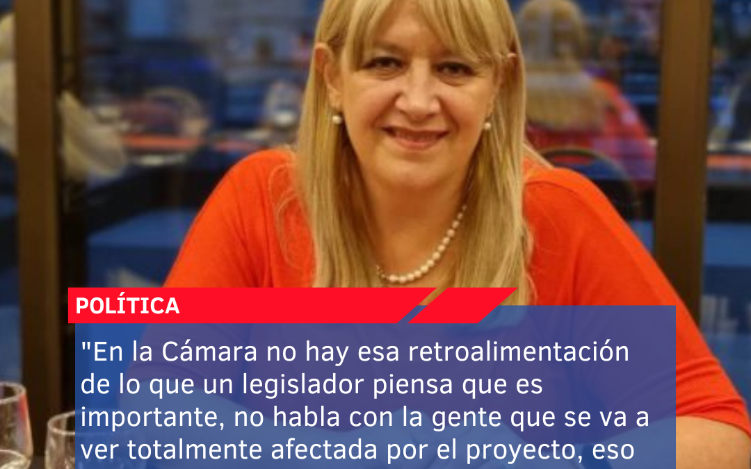 “En la Cámara no hay esa retroalimentación de lo que un legislador piensa que es importante, no habla con la gente que se va a ver totalmente afectada por el proyecto, eso me parece que sí es un compromiso”