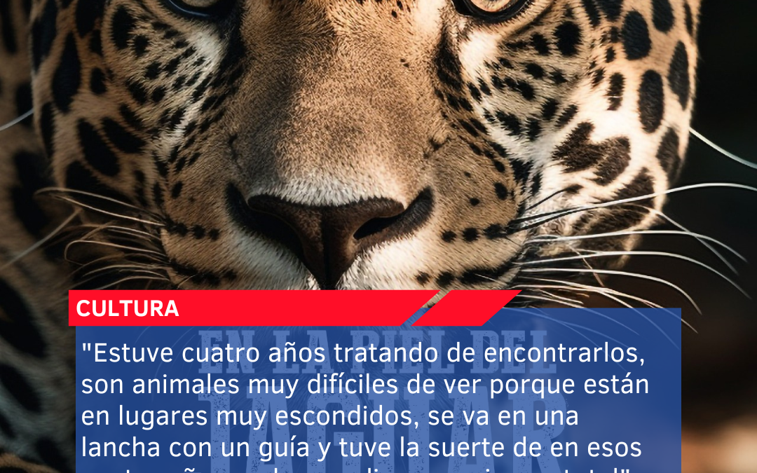 “Estuve cuatro años tratando de encontrarlos, son animales muy difíciles de ver porque están en lugares muy escondidos, se va en una lancha con un guía y tuve la suerte de en esos cuatro años poder ver diez especies en total”