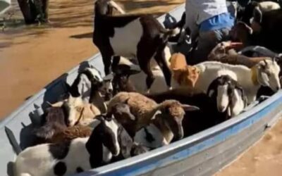 Inundaciones en el norte de Salta: crecida de ríos, familias afectadas y alerta vigente