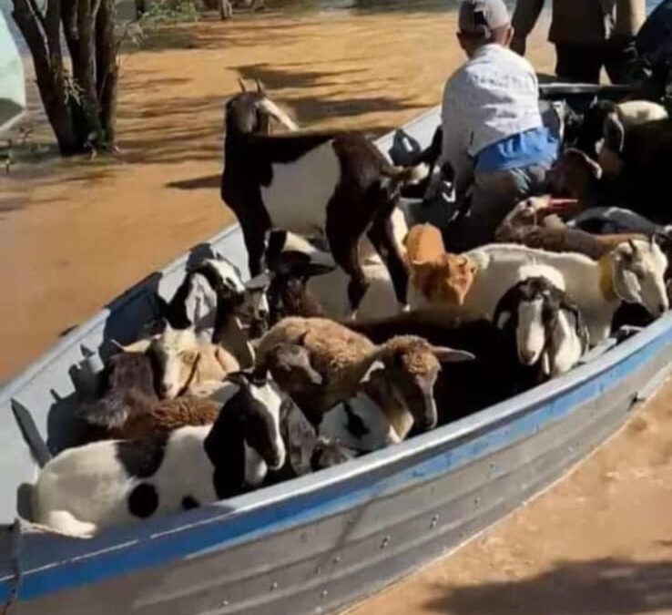 Inundaciones en el norte de Salta: crecida de ríos, familias afectadas y alerta vigente